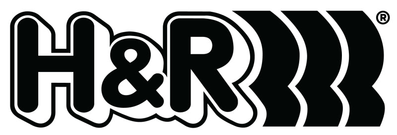 H&R 25mm Non Adj. Sway Bar - Rear